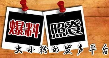 新闻媒体爆料去哪个平台,新闻媒体爆料背后的真相，深度解析事件始末